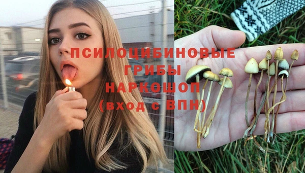 таблы Аркадак