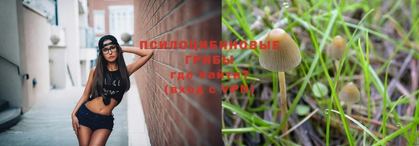 таблы Аркадак