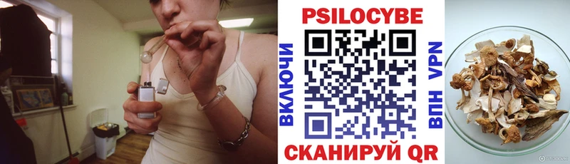 даркнет сайт  Губаха  Псилоцибиновые грибы Cubensis 