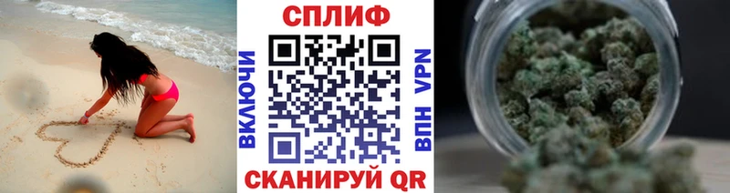 Конопля OG Kush MEGA ССЫЛКА Губаха